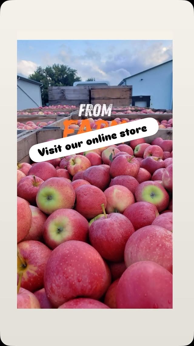 From Tree to Treat - Dried Apples from Kalir Farm